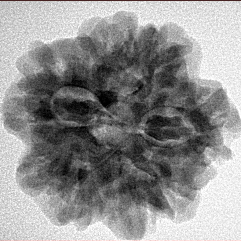 1MK(Underdeveloped) 24.6mm 4.82gm - Inverse xray