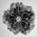 1MK(Underdeveloped) 22.6mm 3.54gm - Inverse xray