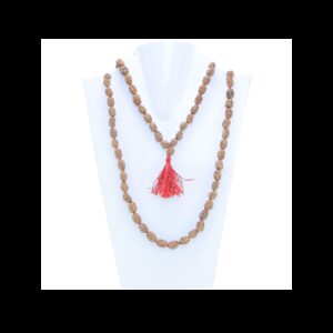 2 Mukhi Indonesian Mala - Mala Image