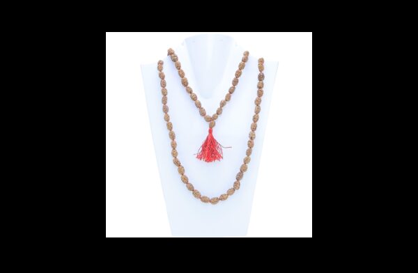 2 Mukhi Indonesian Mala - Mala Image