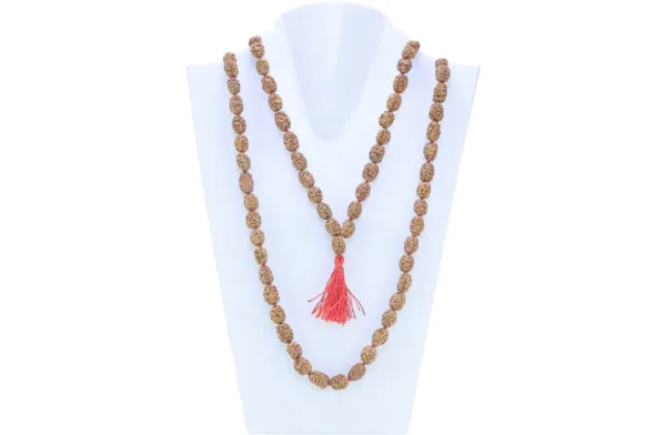 3 Mukhi Indonesian Mala - Certificate: DCL/2026/B/0035 - Mala Image