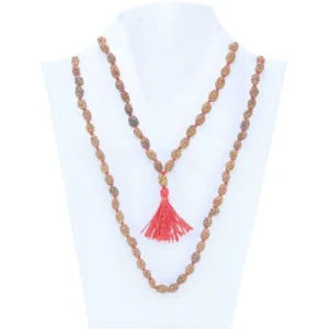 2 Mukhi Indonesian Mala - Certificate: DCL/2026/B/0031 - Mala Image