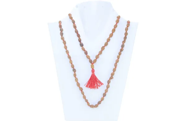 2 Mukhi Indonesian Mala - Certificate: DCL/2026/B/0031 - Mala Image