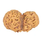 10 Mk Gaurishankar 38.6mm 7.47gm - Rudraksha back