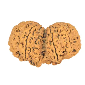 9 MK Gaurishankar 38.3mm 8.2gm - Rudraksha back