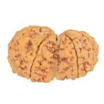 8 MK Gaurishankar 38.2mm 8.08gm - Rudraksha back