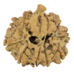 10 Mukhi Ganesh 26.5mm 4.75gm - Rudraksha back