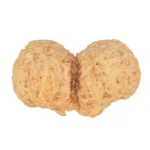 9 MK Gaurishankar 43.7mm 12.5gm - Rudraksha back