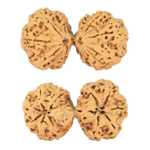 11 MK Gaurishankar 43.7mm 9.18gm - Rudraksha