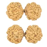 10 Mk Gaurishankar 49.2mm 10.79gm - Rudraksha