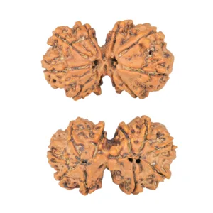10 Mk Gaurishankar 34.8mm 6.27gm - Rudraksha