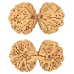 9 MK Gaurishankar 44.7mm 9.57gm - Rudraksha