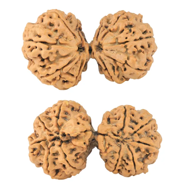 10 Mk Gaurishankar 40.5mm 8.69gm - Rudraksha