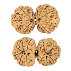 12 MK Gaurishankar 40.1mm 8.16gm - Rudraksha