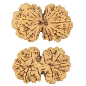 13 MK Gaurishankar 40.7mm 8.78gm - Rudraksha