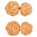 8 MK Gaurishankar 38.2mm 8.08gm - Rudraksha
