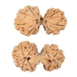11 MK Gaurishankar 38.7mm 7.83gm - Rudraksha