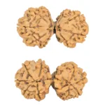 9 MK Gaurishankar 40.4mm 7.66gm - Rudraksha