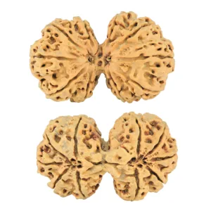 10 Mk Gaurishankar 41mm 6.56gm - Rudraksha