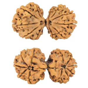 11 MK Gaurishankar 40.4mm 6.68gm - Rudraksha