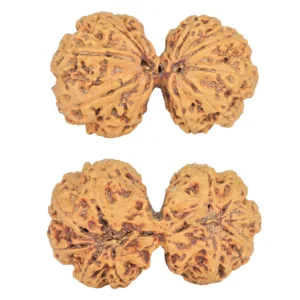 10 Mk Gaurishankar 38.6mm 7.47gm - Rudraksha