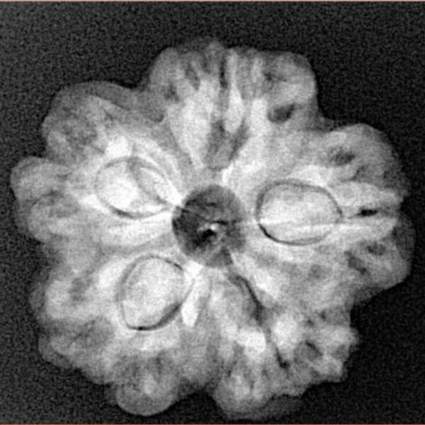 1MK(Underdeveloped) 23.9mm 4.59gm - Xray