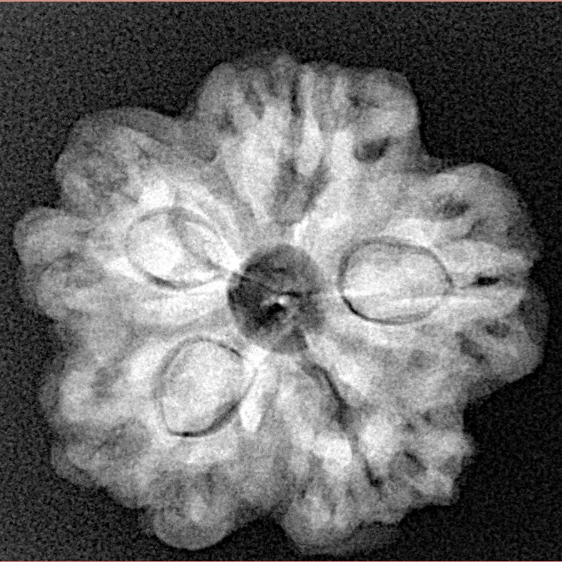 1MK(Underdeveloped) 23.9mm 4.59gm - Xray