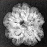 1MK(Underdeveloped) 23.8mm 4.54gm - Xray