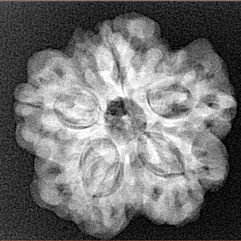 1MK(Underdeveloped) 24.2mm 4.51gm - Xray