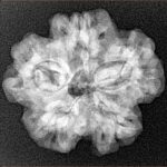 1MK(Underdeveloped) 24.1mm 4.22gm - Xray