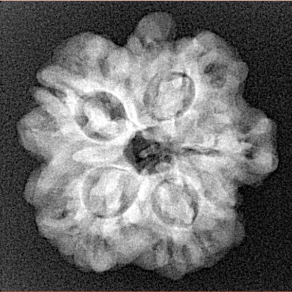 1MK(Underdeveloped) 23.1mm 3.9gm - Xray
