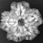 1MK(Underdeveloped) 23.2mm 3.78gm - Xray