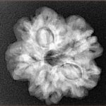 1MK(Underdeveloped) 23.8mm 4.34gm - Xray