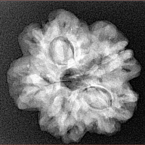 1MK(Underdeveloped) 23.8mm 4.34gm - Xray