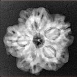 1MK(Underdeveloped) 23mm 3.92gm - Xray