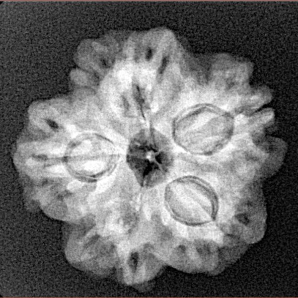 1MK(Underdeveloped) 23mm 3.92gm - Xray