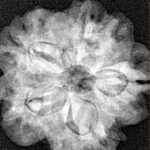 1MK(Underdeveloped) 22.5mm 3.79gm - Xray