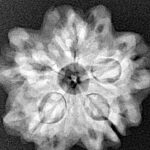 1MK(Underdeveloped) 25.4mm 4.6gm - Xray