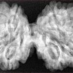 10 Mk Gaurishankar 40.6mm 8.6gm - Xray
