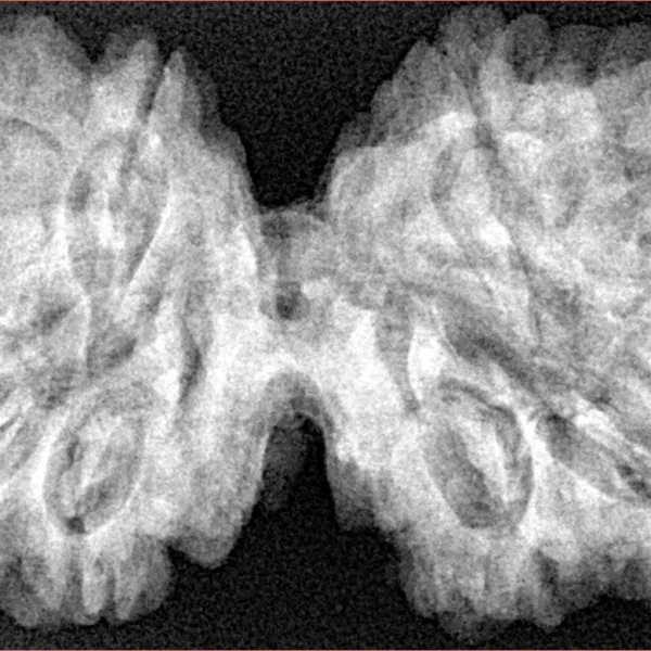 10 Mk Gaurishankar 40.6mm 8.6gm - Xray