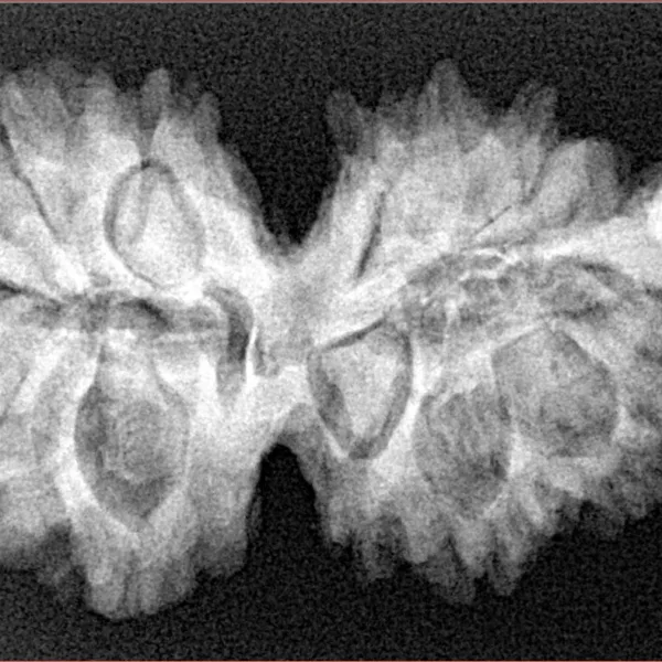 G.S with Sawar (12+1) 35.8mm 6gm - Xray