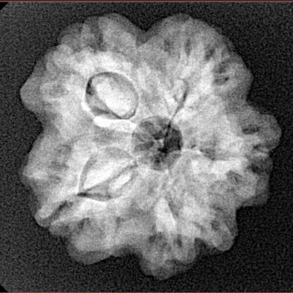 1MK(Underdeveloped) 23.4mm 4.28gm - Xray