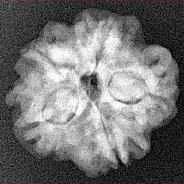 1MK(Underdeveloped) 22.9mm 3.74gm - Xray