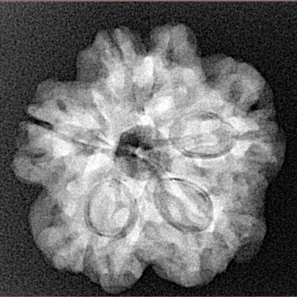 1MK(Underdeveloped) 23.6mm 4.27gm - Xray