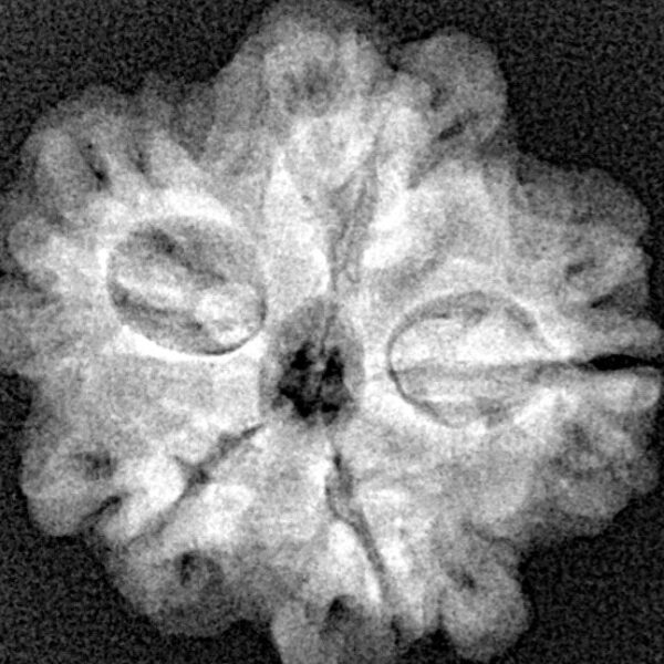 1MK(Underdeveloped) 22.5mm 3.42gm - Xray