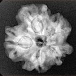 1MK(Underdeveloped) 23mm 4.18gm - Xray