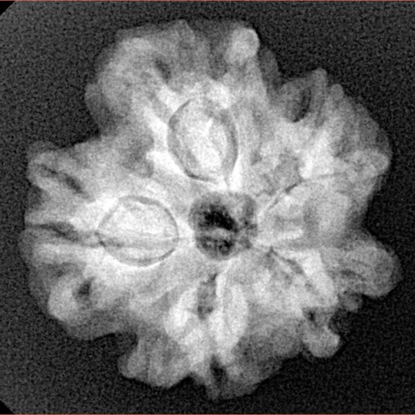 1MK(Underdeveloped) 23mm 4.18gm - Xray