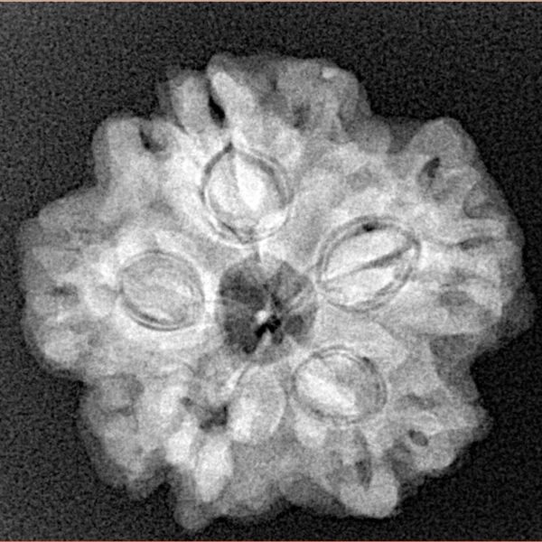 1MK(Underdeveloped) 23.2mm 4.38gm - Xray