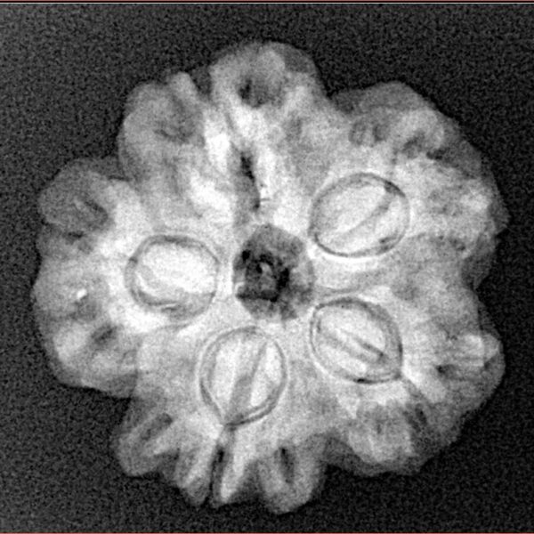 1MK(Underdeveloped) 23.1mm 4.14gm - Xray