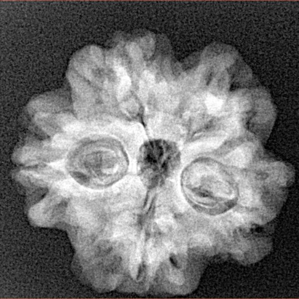 1MK(Underdeveloped) 23mm 4.06gm - Origin: Nepal - Xray